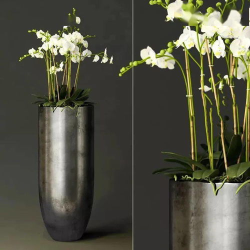 歐派軟裝 家居軟裝工程的時(shí)間規(guī)劃與花藝工程執(zhí)行指南