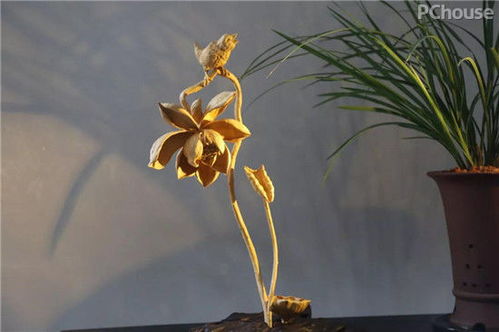 廣州看展靈感 精選軟裝與景觀工程，家居設(shè)計(jì)瞬間提升高級感